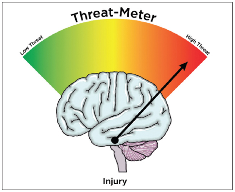 nociception