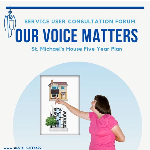 Activity Hub: Our Voice Matters Strategic Plan Launch