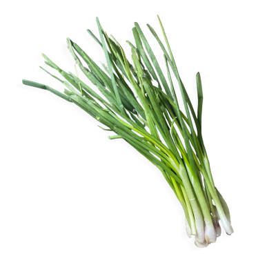Spring onions