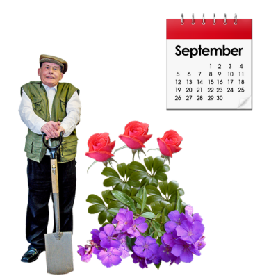 what to grow in september