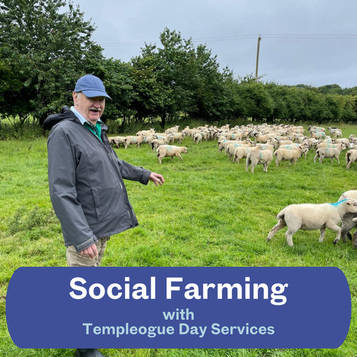 Social Farming - Templeogue
