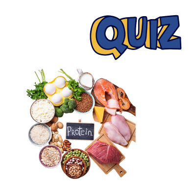 protein quiz 