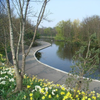 dodder valley park