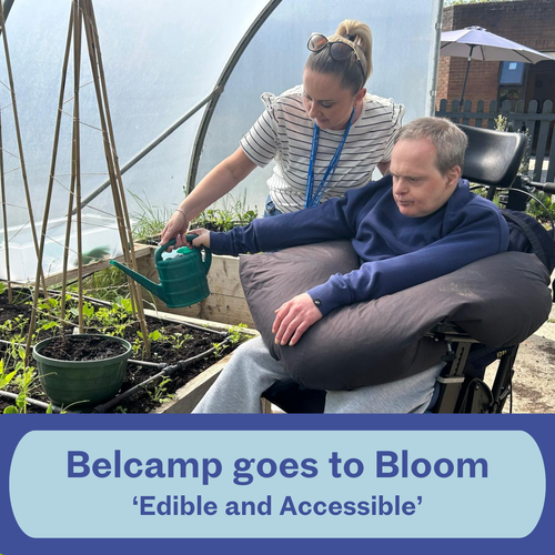 Bloom