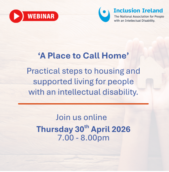 webinar inclusion ireland